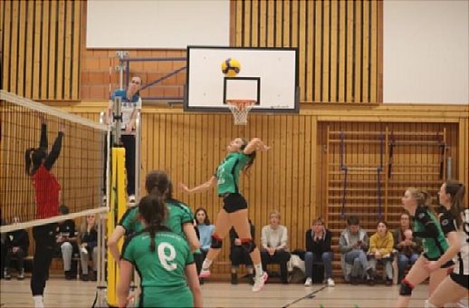 Ein gelungenes Comeback