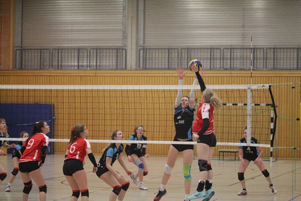 Volleyball vom Feinsten